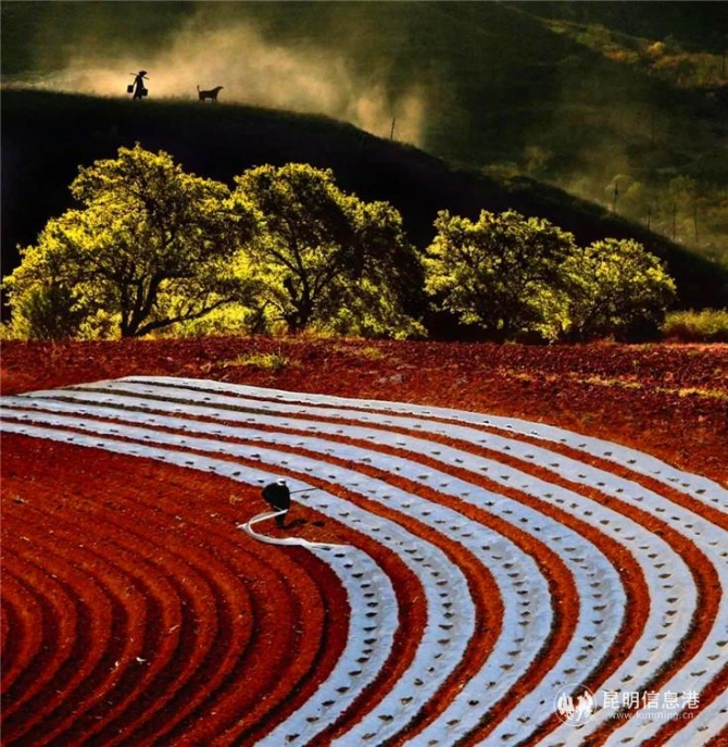 作品:《大地旋律》 攝影者:佟偉元 昆明 作品:《大地旋律》 攝影者:佟偉元 昆明