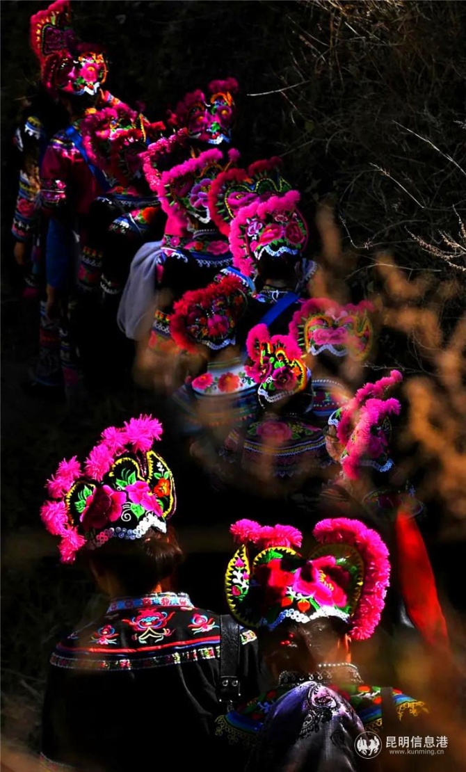 作品:《歸途》 攝影者:彭學(xué)名 昆明 作品:《歸途》 攝影者:彭學(xué)名 昆明