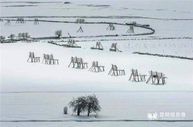 作品:《潔白的世界》 攝影者:追藝 昆明 作品:《潔白的世界》 攝影者:追藝 昆明