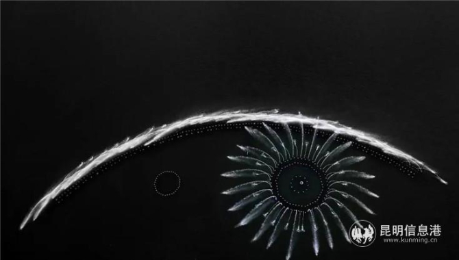 作品:《西湖的眼睛》 攝影者:韓丹 杭州 作品:《西湖的眼睛》 攝影者:韓丹 杭州