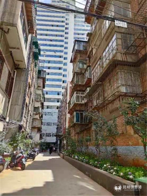 微信圖片_202011101630012