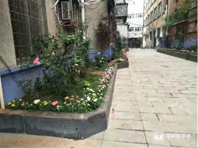 微信圖片_202011101630013