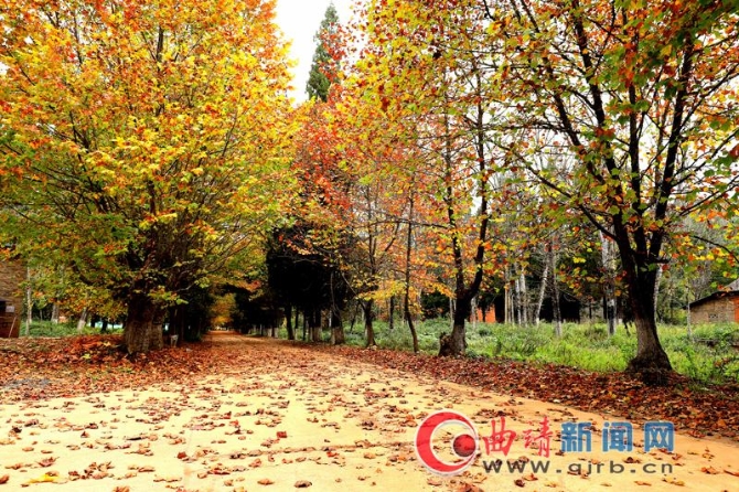 8bdc7373-503b-4966-a018-5e3d62e81ce3_batchwm 8bdc7373-503b-4966-a018-5e3d62e81ce3_batchwm