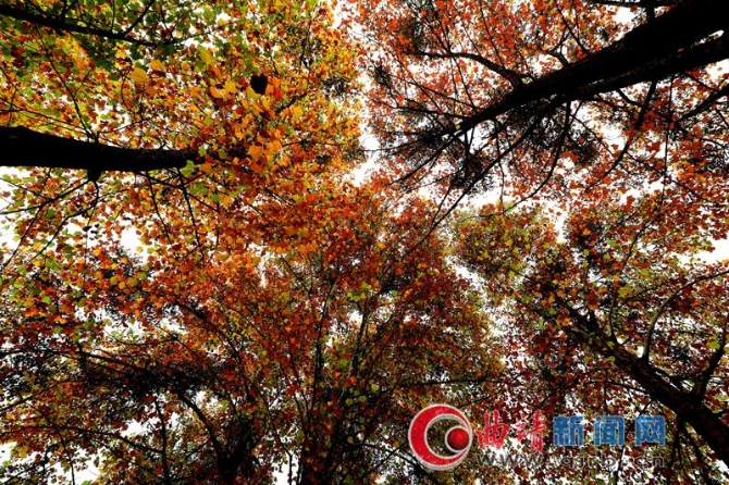 c5de4134-30c0-4c93-a77c-5422585d75a9_batchwm c5de4134-30c0-4c93-a77c-5422585d75a9_batchwm