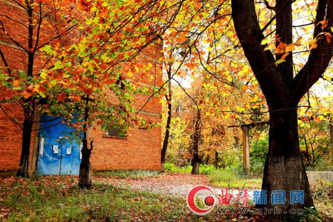 39039bc8-d05e-4ad7-8cf4-b01f1d921baa_batchwm 39039bc8-d05e-4ad7-8cf4-b01f1d921baa_batchwm