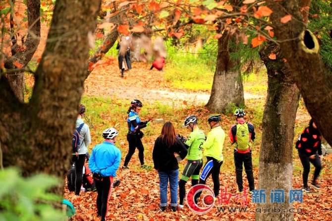 4402c607-c414-4020-bce9-5e2604fa6f14_batchwm 4402c607-c414-4020-bce9-5e2604fa6f14_batchwm