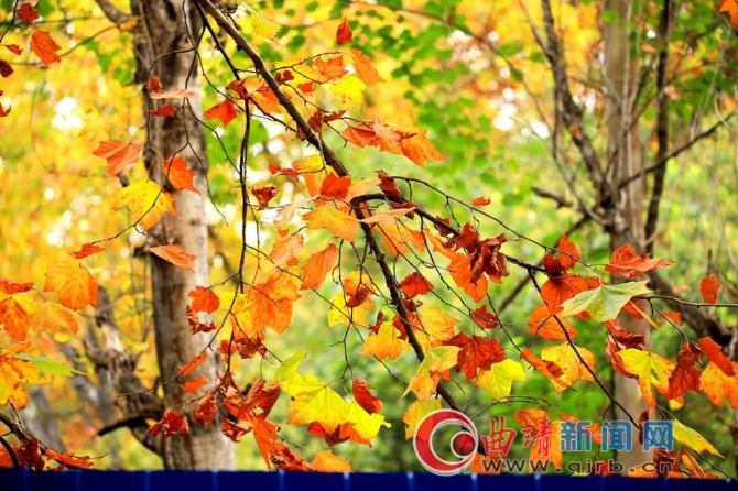 d9ccfa54-68b6-4bd9-8a5a-945d036aed1d_batchwm d9ccfa54-68b6-4bd9-8a5a-945d036aed1d_batchwm