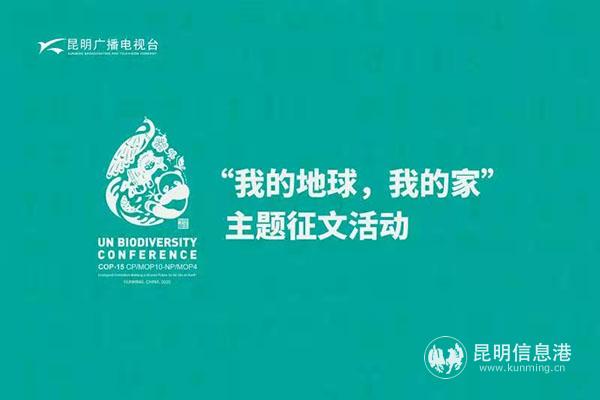 07 征文活動(dòng) 07 征文活動(dòng)