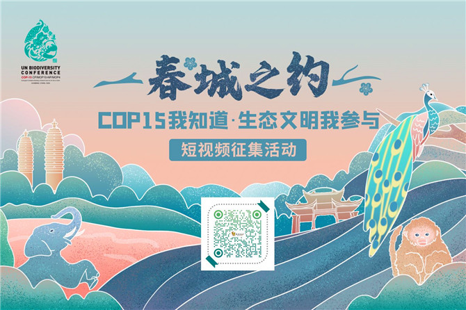 QQ圖片20201111160906