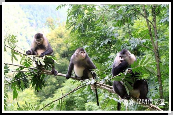 2012052411063660_副本