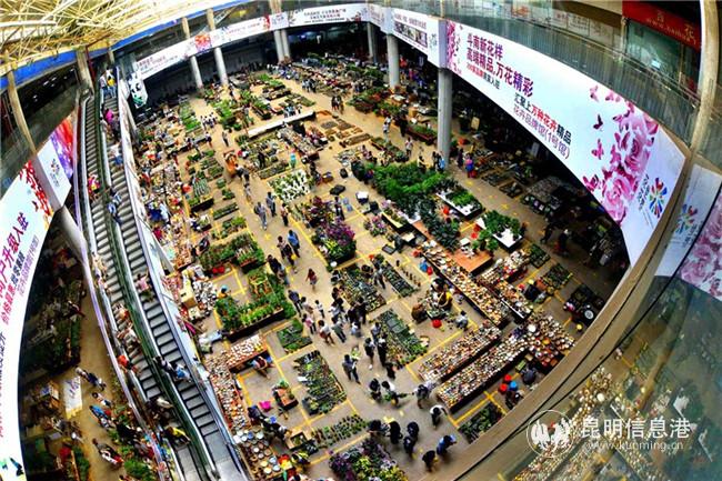 2 斗南花市.楊金海 攝