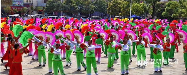 4新區(qū)新氣象。艾如茂 攝