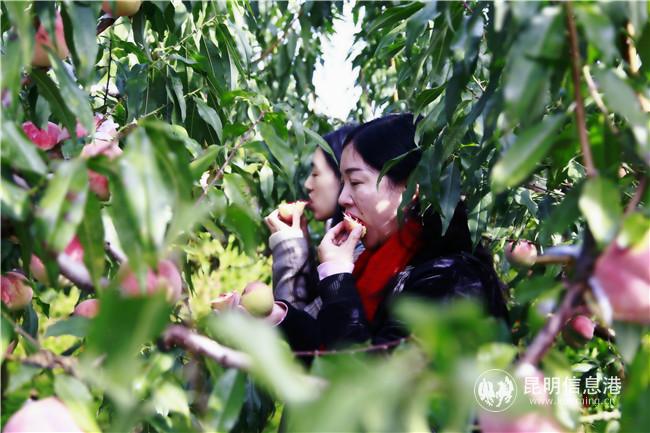 6327d5843f7db1ff6b536c74bfd078c 6327d5843f7db1ff6b536c74bfd078c