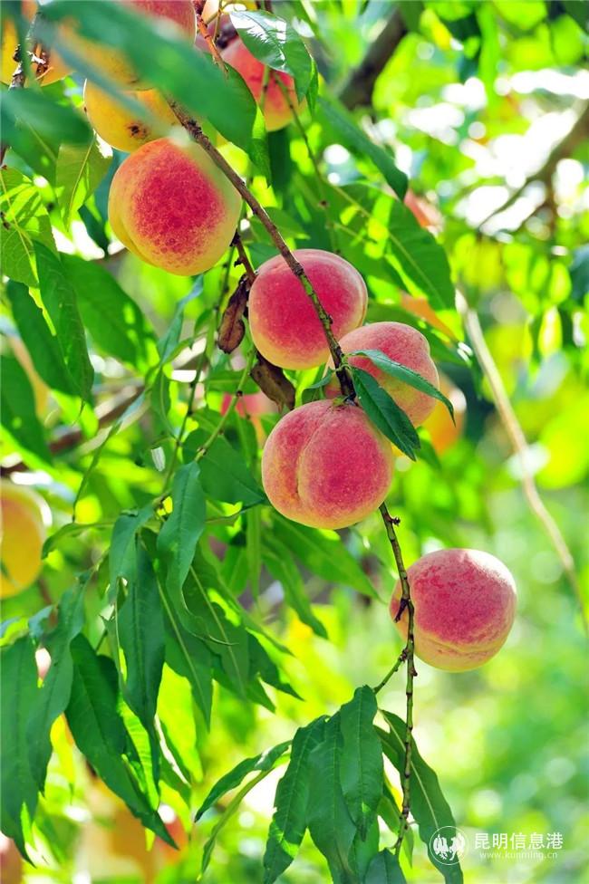 微信圖片_20201113152415 微信圖片_20201113152415