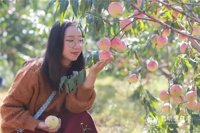 微信圖片_20201113152437 微信圖片_20201113152437