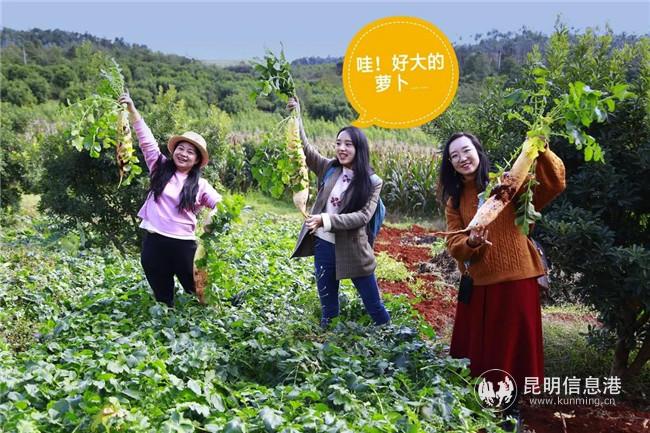 微信圖片_20201113152516 微信圖片_20201113152516