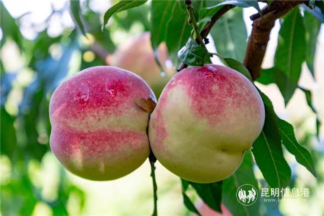 微信圖片_20201113152612 微信圖片_20201113152612