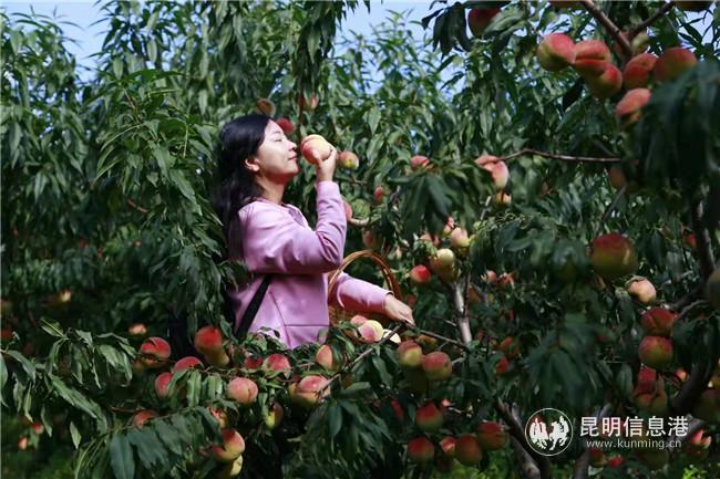 微信圖片_20201113181455 微信圖片_20201113181455