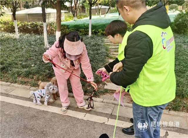 微信圖片_20201114153014 微信圖片_20201114153014