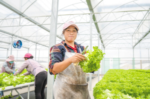 38241605377278609 38241605377278609