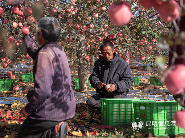 各大公司對(duì)農(nóng)業(yè)重投入，將惠及億萬農(nóng)民。