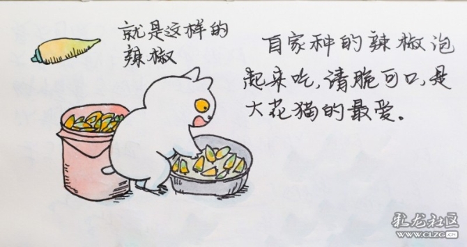 1597929398_U74OTd 1597929398_U74OTd