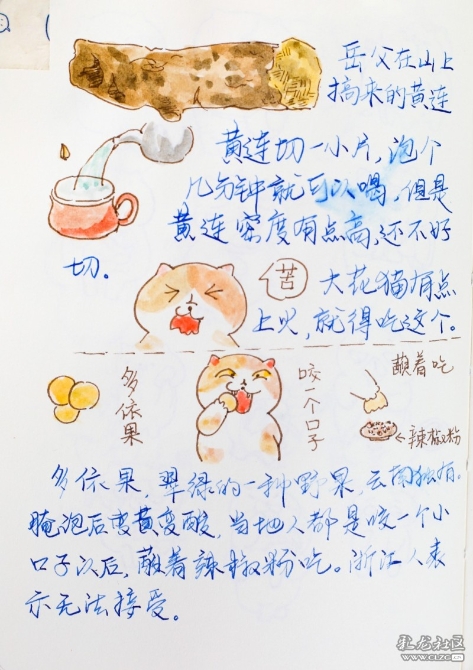 1597929404_5XkQsH 1597929404_5XkQsH