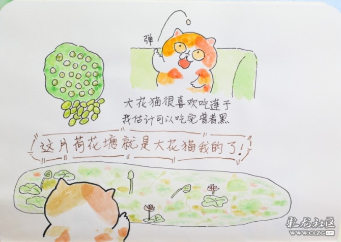 1597929405_4OUdtM 1597929405_4OUdtM