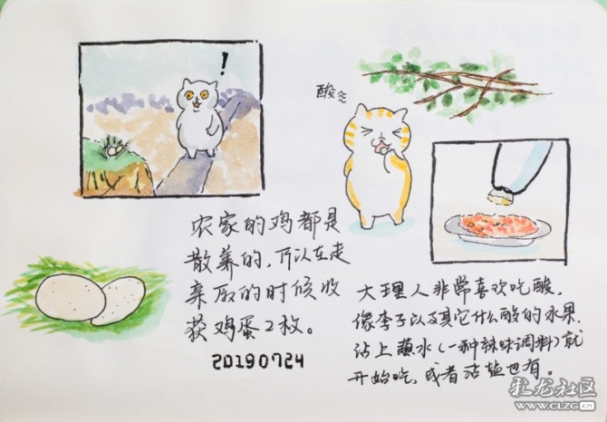 1597929406_AnWFg9 1597929406_AnWFg9