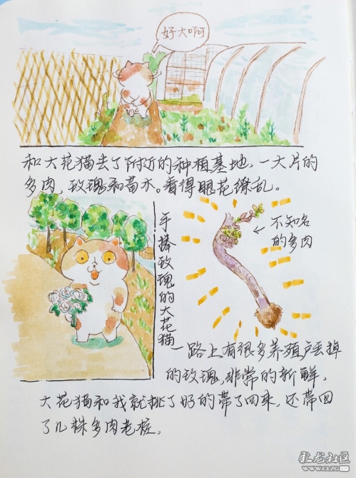 1597930591_qLT6RG 1597930591_qLT6RG