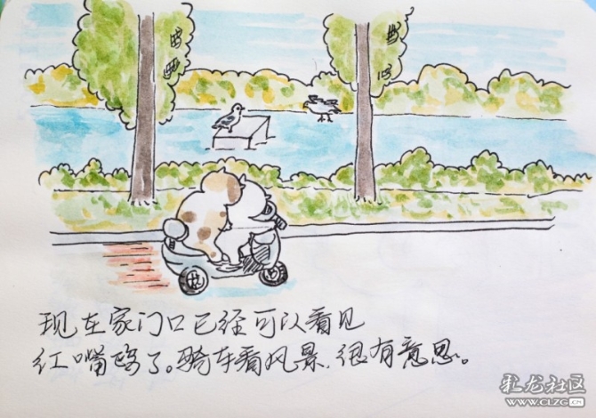 1597930603_TPsmed 1597930603_TPsmed