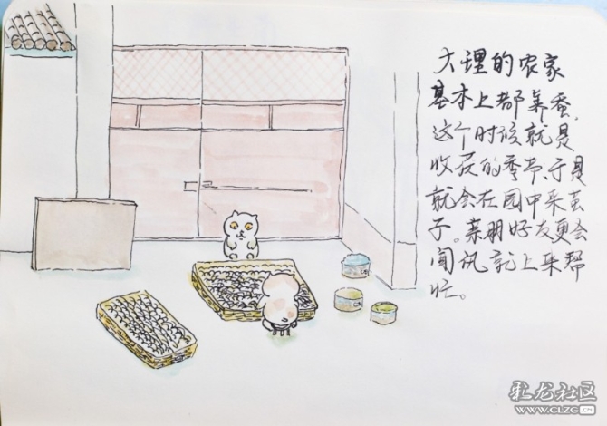 1597930612_flakBK 1597930612_flakBK