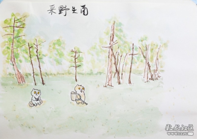 1597930617_CV8Gbr 1597930617_CV8Gbr