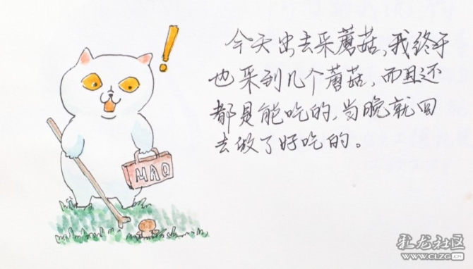 1597930617_ksnz16 1597930617_ksnz16