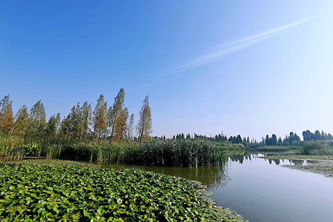 1126745684_16055072719601n 1126745684_16055072719601n