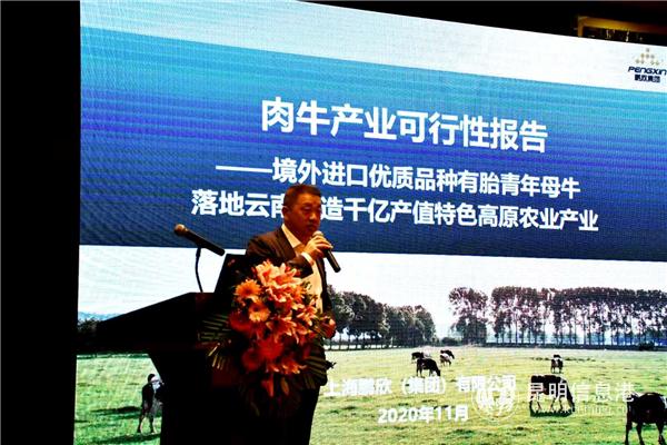 鵬欣集團(tuán)董事長助理張富強先生發(fā)布肉牛產(chǎn)業(yè)可行性報告
