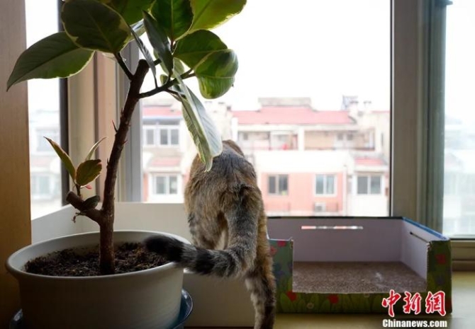 點(diǎn)擊進(jìn)入下一頁(yè)