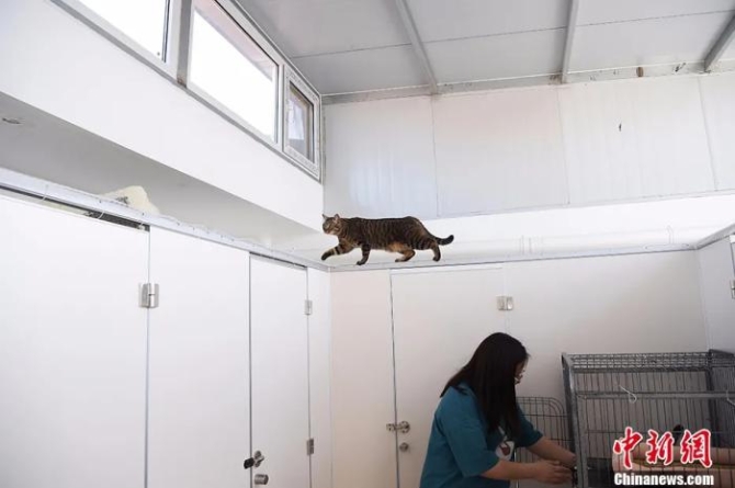 點(diǎn)擊進(jìn)入下一頁(yè)