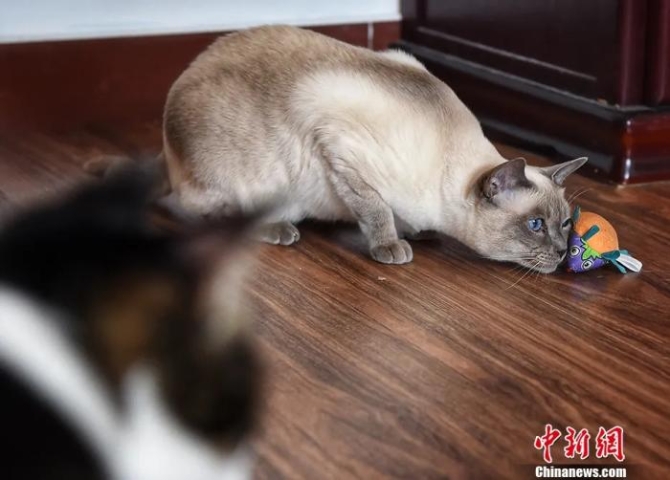 點(diǎn)擊進(jìn)入下一頁(yè)