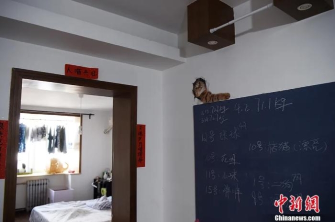 點(diǎn)擊進(jìn)入下一頁(yè)