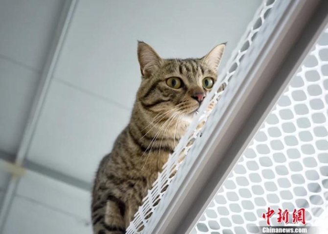 點(diǎn)擊進(jìn)入下一頁(yè)