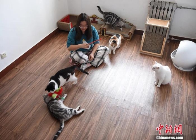 點(diǎn)擊進(jìn)入下一頁(yè)