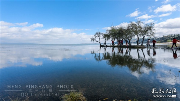 活動(dòng)投稿作品 彩龍網(wǎng)友@松木有骨 活動(dòng)投稿作品 彩龍網(wǎng)友@松木有骨