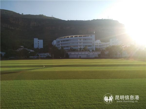 漂亮的人工草坪足球場。記者江楓攝