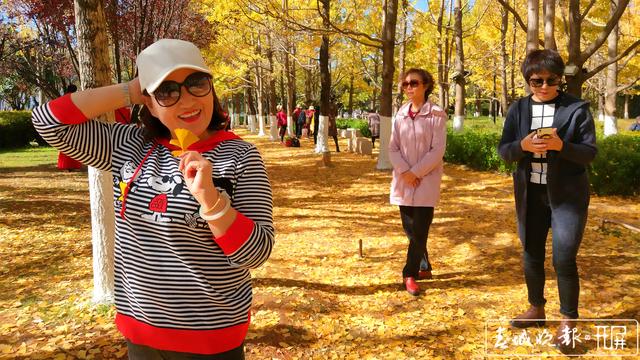 大觀公園銀杏林成昆明網(wǎng)紅打卡點(diǎn)圖 (2)_副本.jpg