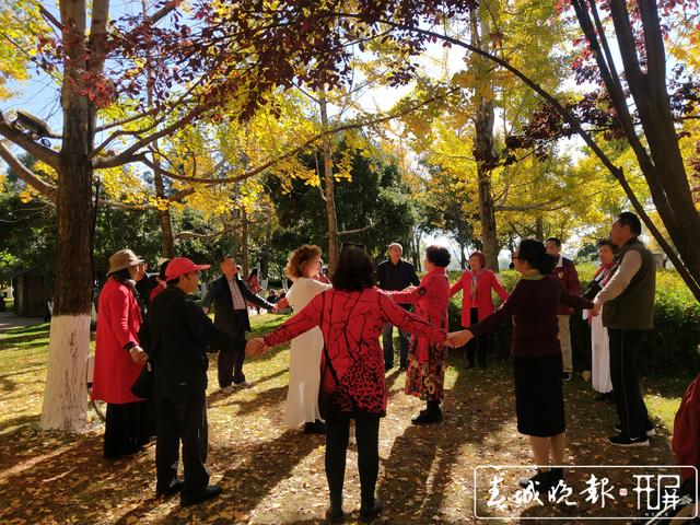 大觀公園銀杏林成昆明網(wǎng)紅打卡點(diǎn)圖 (5).jpg