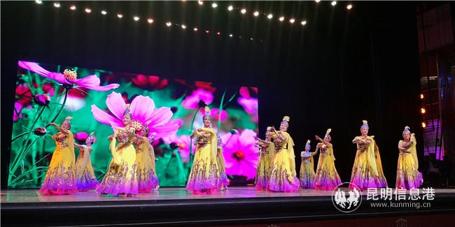 舞蹈《綻放》 舞蹈《綻放》