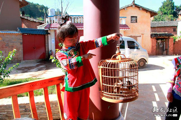 晉寧雙河營村11 晉寧雙河營村11