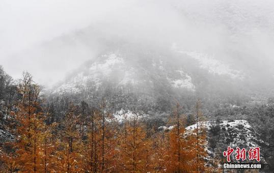 點(diǎn)擊進(jìn)入下一頁