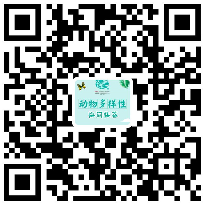 動物多樣性快問快答